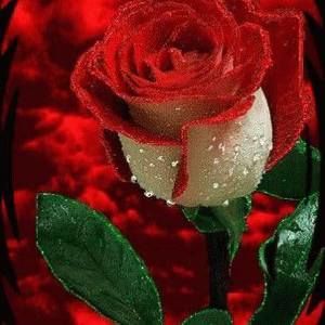 Meet your Posher, Marlita